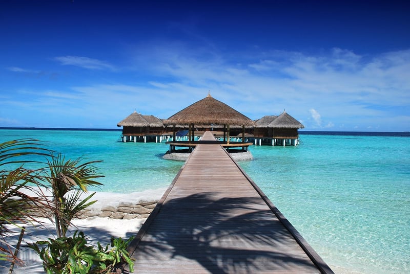 Oceanfront Paradise Bungalow