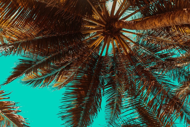 Tropical Beach Hideaway